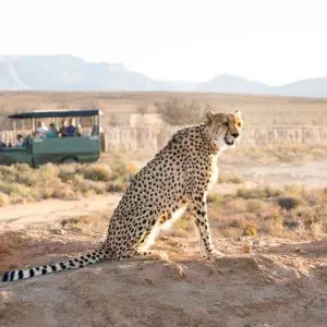 Nanan Travel - Kruger National Park-Safari