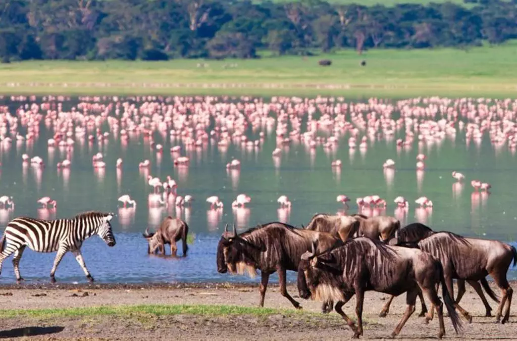 Tanzania
