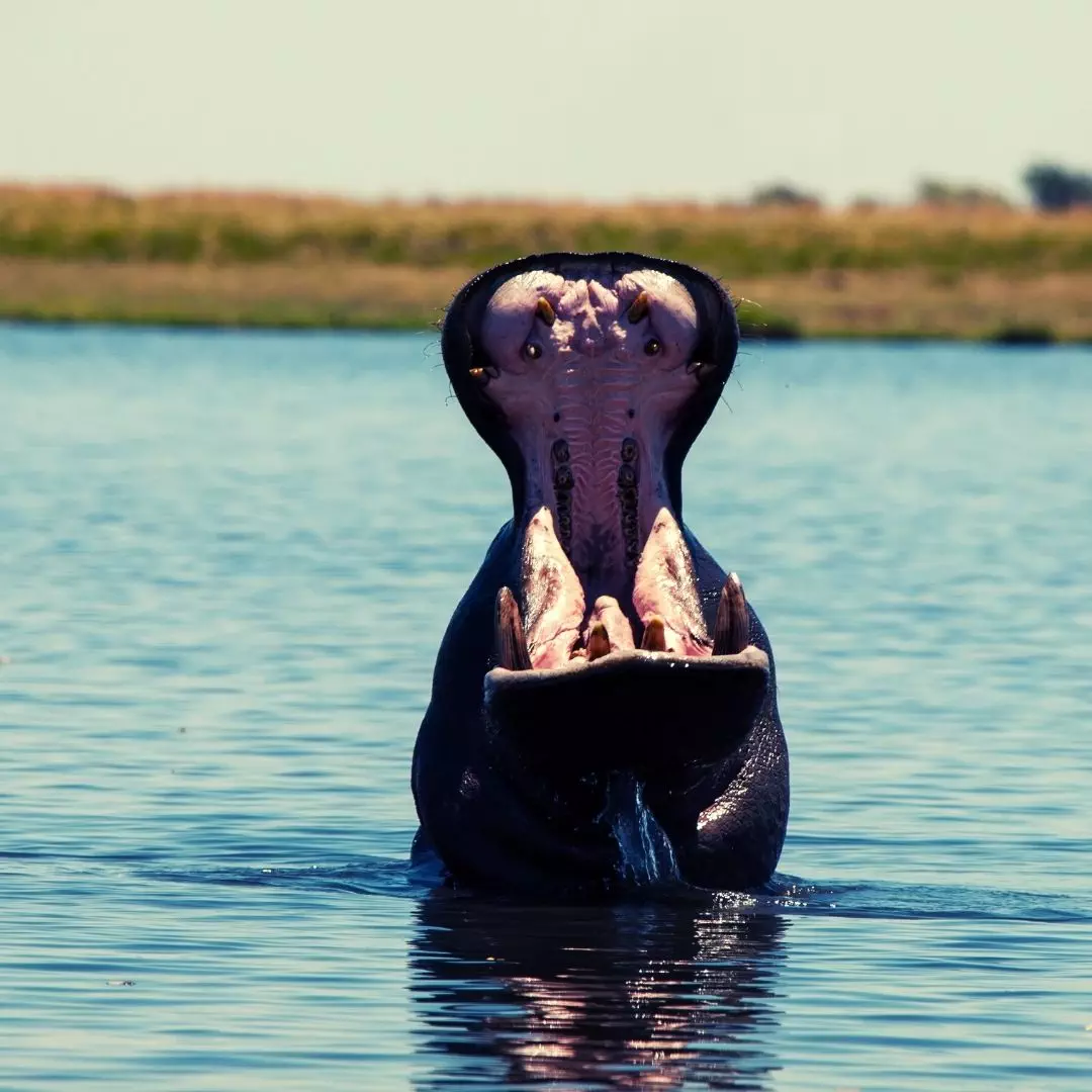 NANAN TRAVEL-BOTSWANA