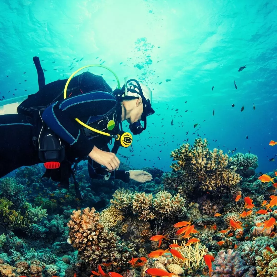 NANAN TRAVEL-EGYPT