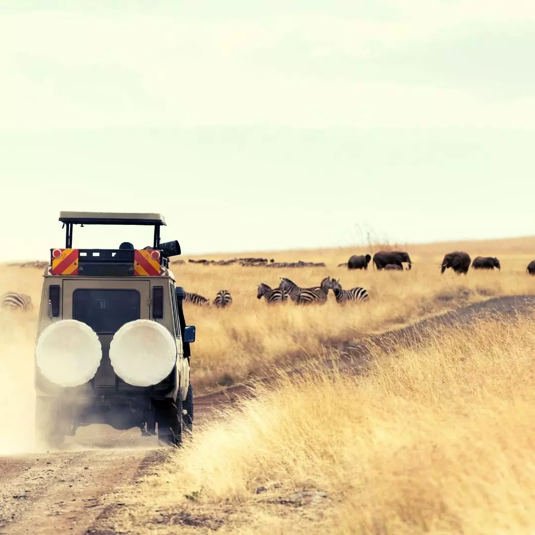 NANAN TRAVEL-KRUGER NATIONAL PARK