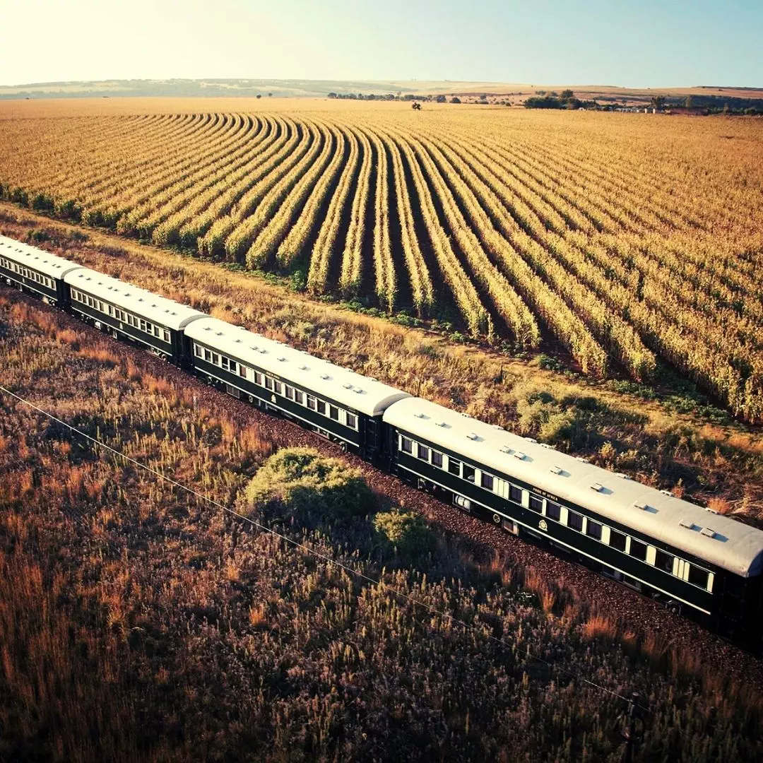 Nanan Travel-Rovos Rails-Train Trip