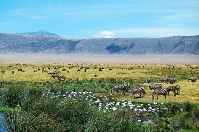 africa-9