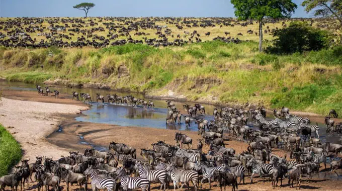 The 6 most popular national parks for a safari in Africa