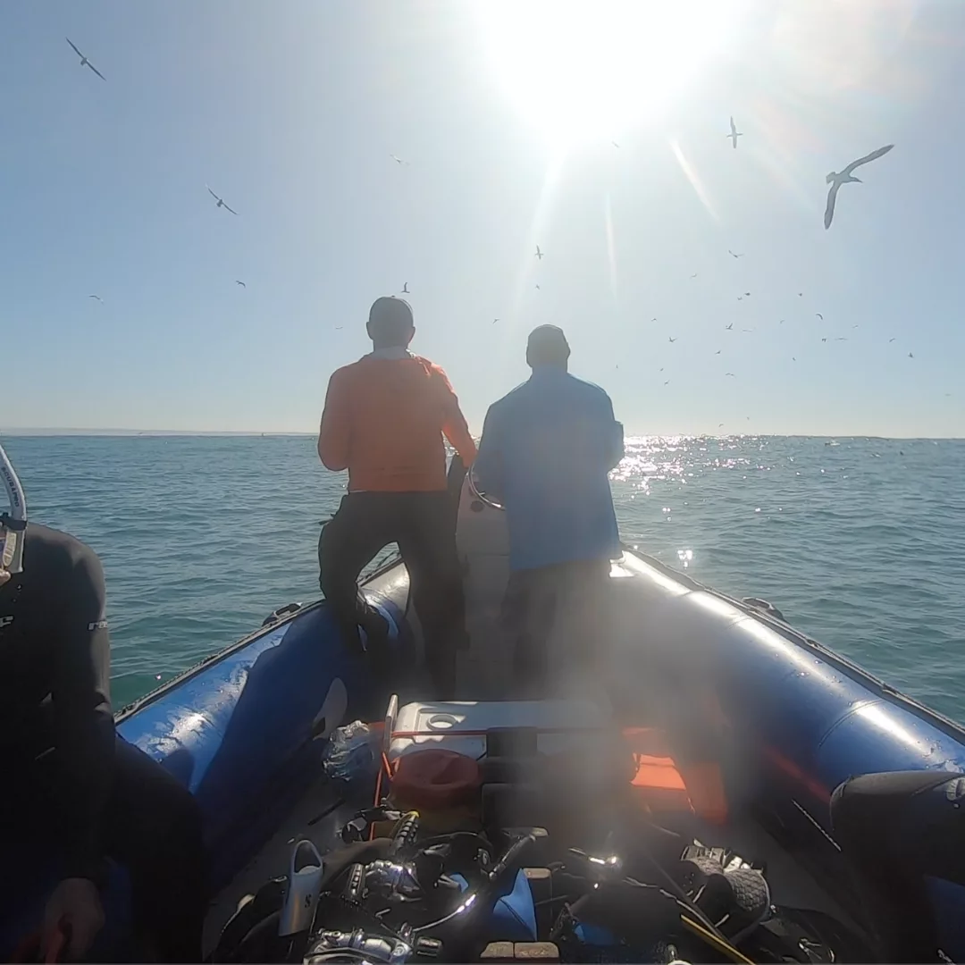 NANA TRAVEL - SARDINE RUN - 5