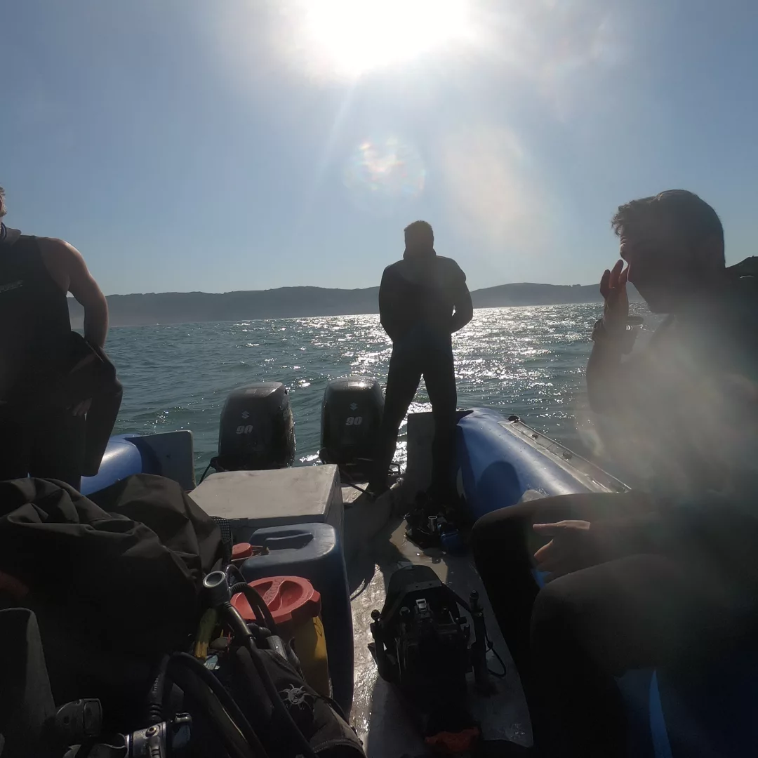 NANA TRAVEL - SARDINE RUN - 8