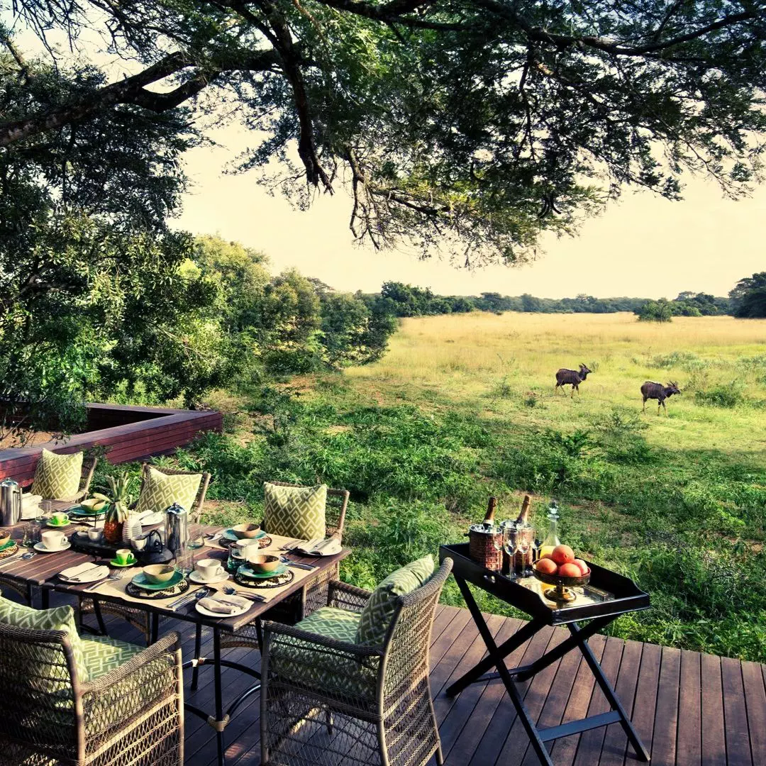 Phinda Vlei-Breakfast