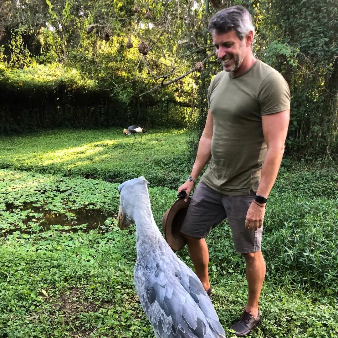 Nanan Travel Uganda Trip - Meeting a Shoehill Bird