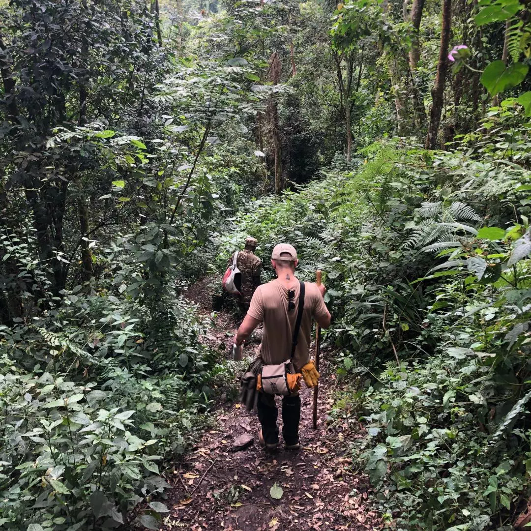 Nanan Travel Uganda Trip Hiking in Rainforest