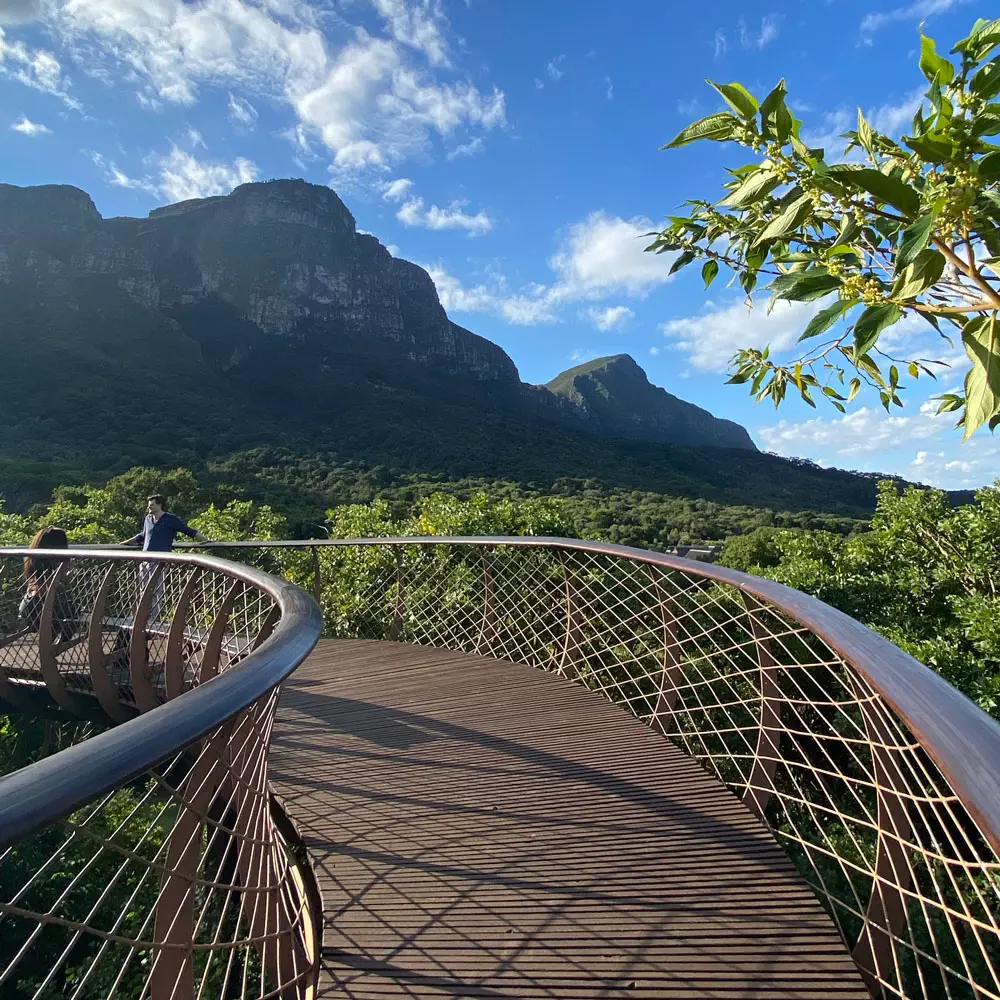 Kirschtenbosch_Botanical_Gardens-Cape-Town-South-Africa