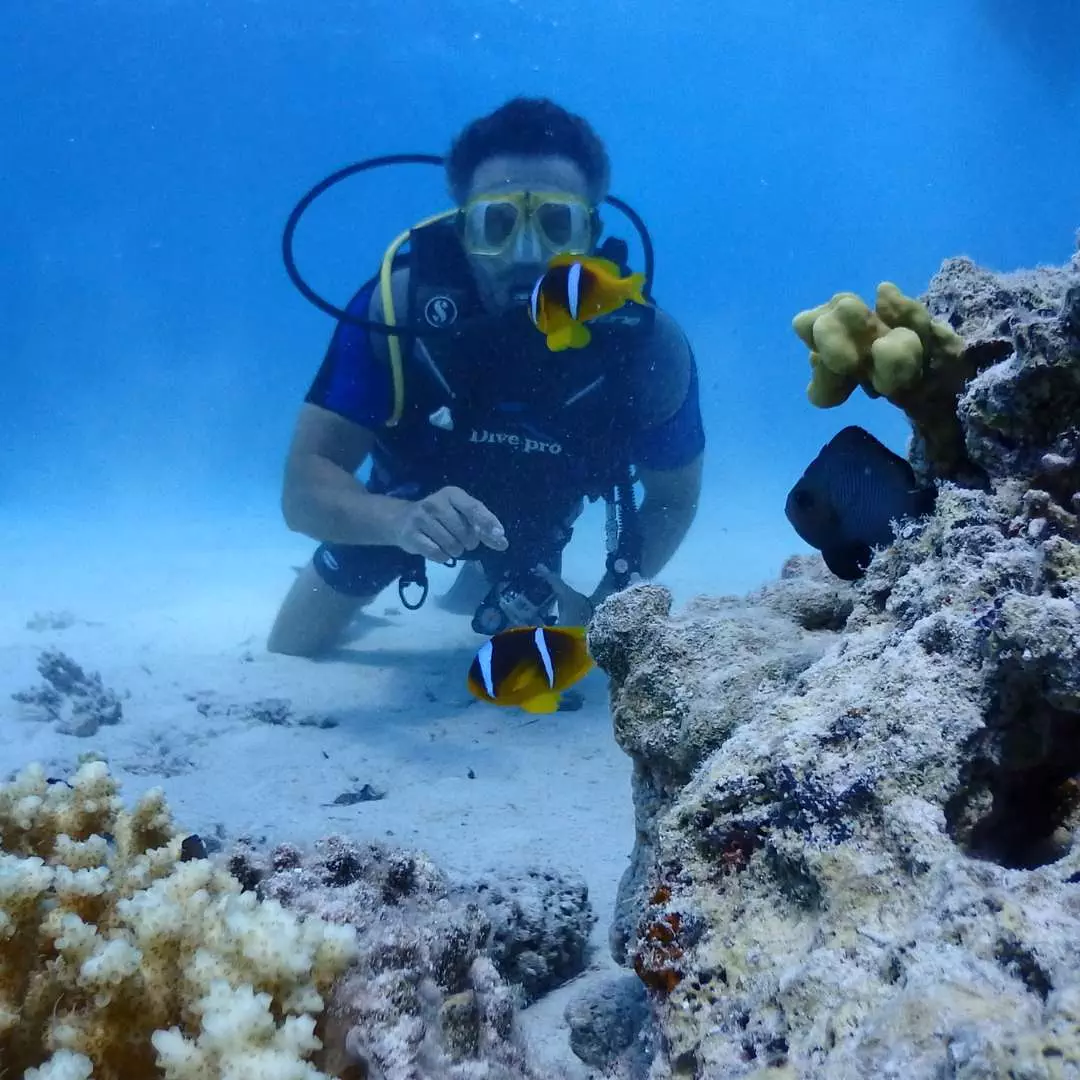 Egypt - Scuba Diving