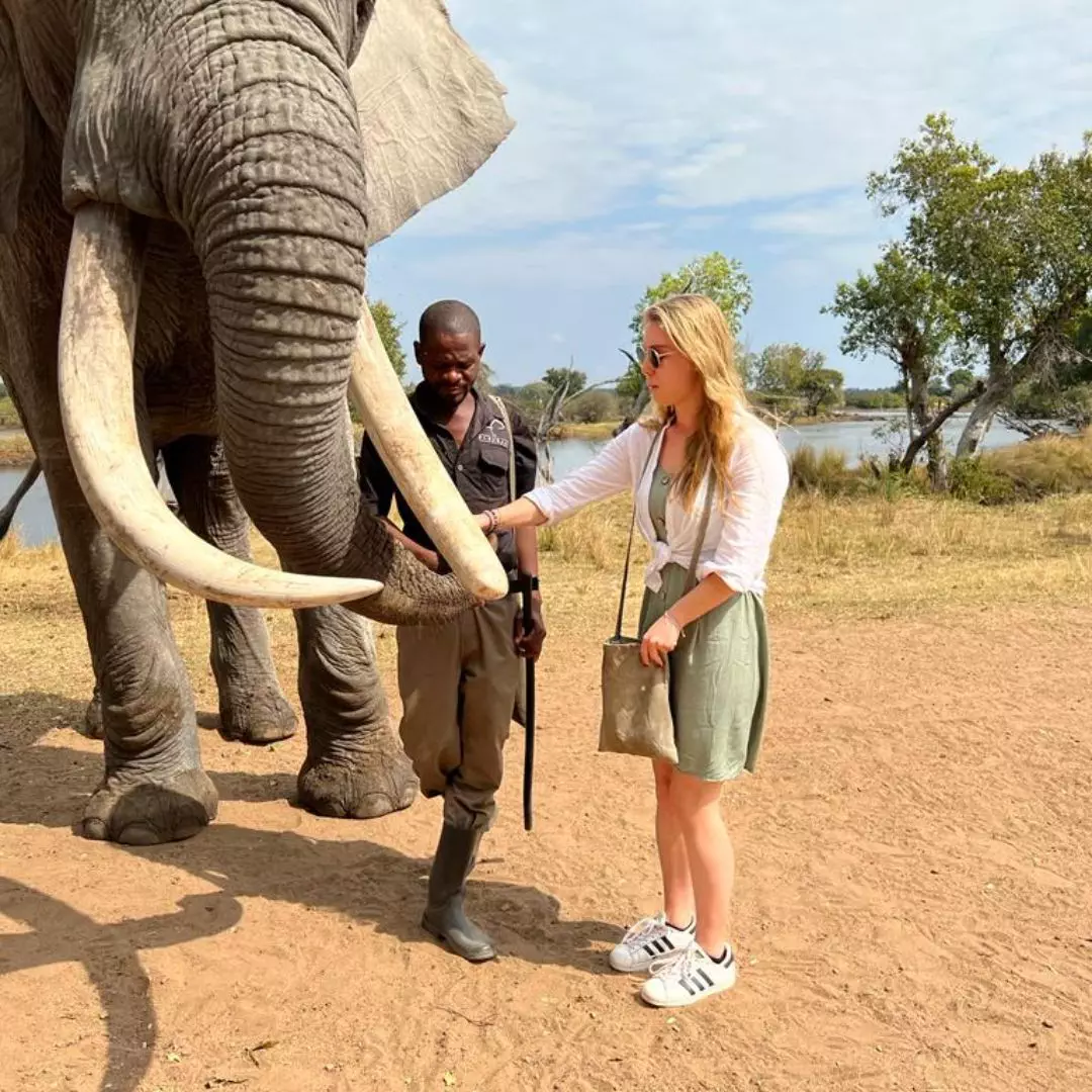 Victoria Falls - Elephant Interaction