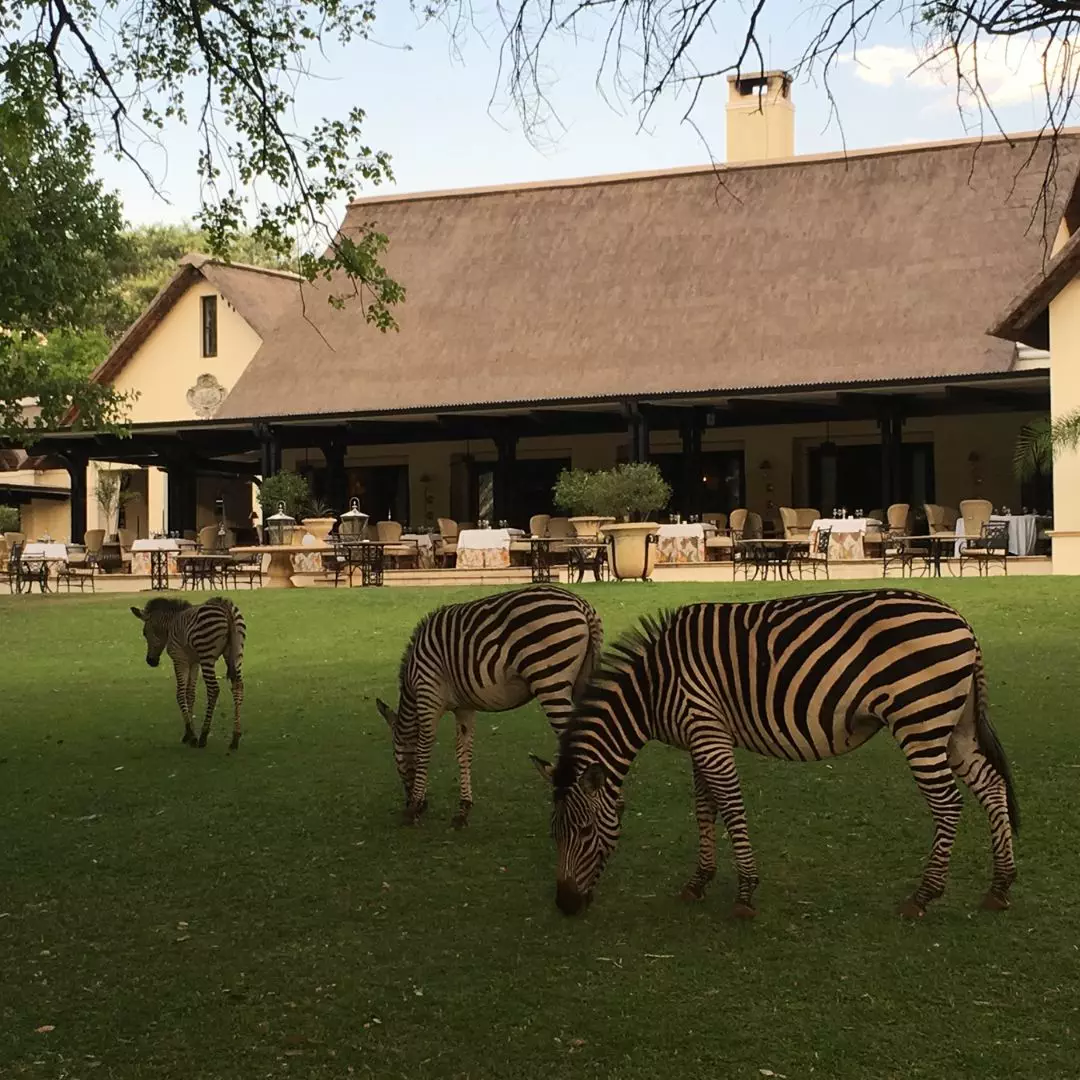 Victoria Falls Lodge