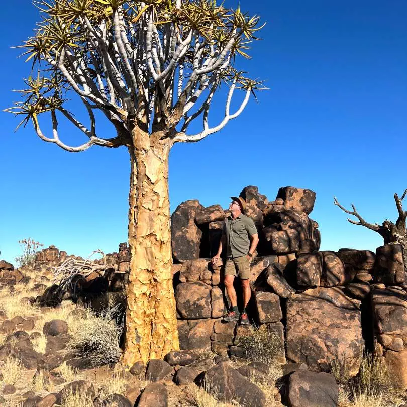 Namibia - Quiver Trees