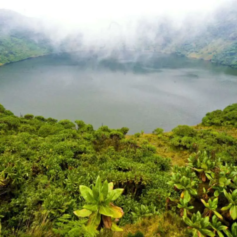 Rwanda (17)