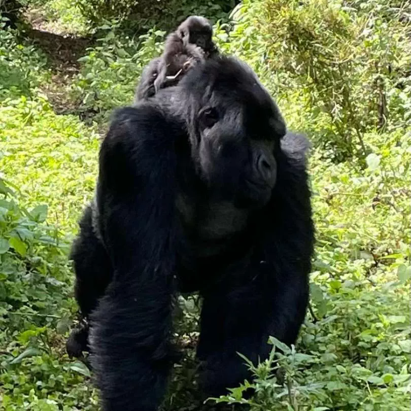 Rwanda (6)