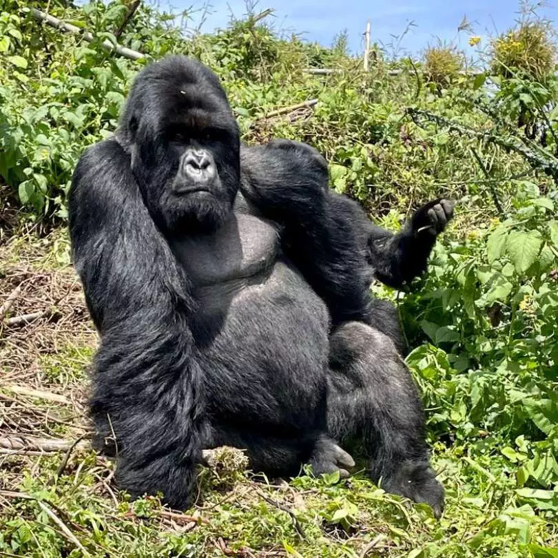 Rwanda (9)