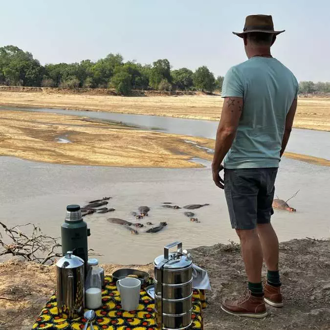 Zambia - Safari - Hippo Zambia - Giraffes