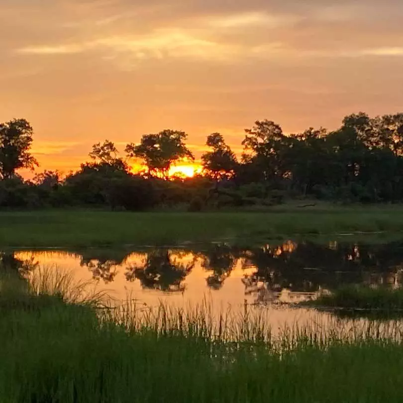 Botswana Sunset Zambia - Giraffes