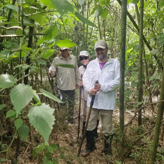 Exploring Rwanda with Nanan Travel - Gorilla Trekking Zambia - Accommodation Zambia