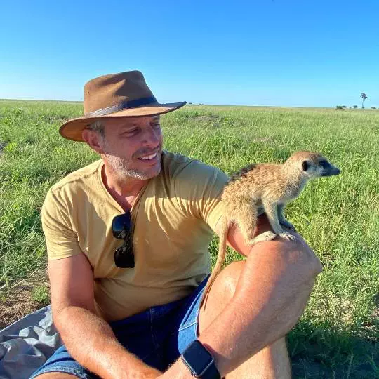 Meerkats - Mana Pools National Park, Zimbabwe Zambia - Accommodation Zambia
