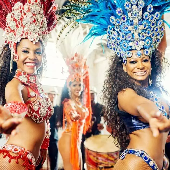 Exclusive Rio Carnival Access Zambia - Giraffes