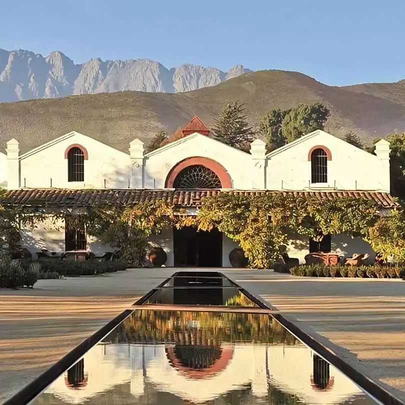 Activities Santiago Chile Wine Tasting