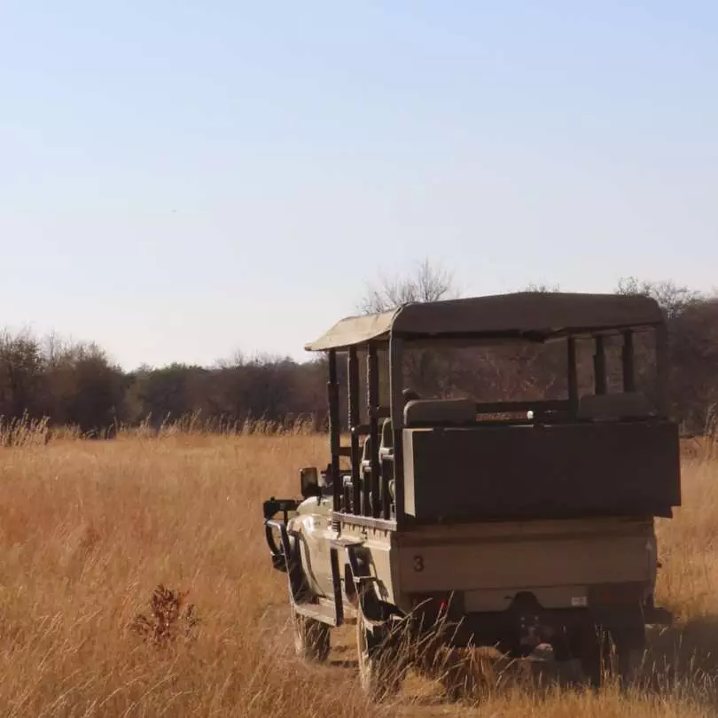 On safari with Nanan Travel