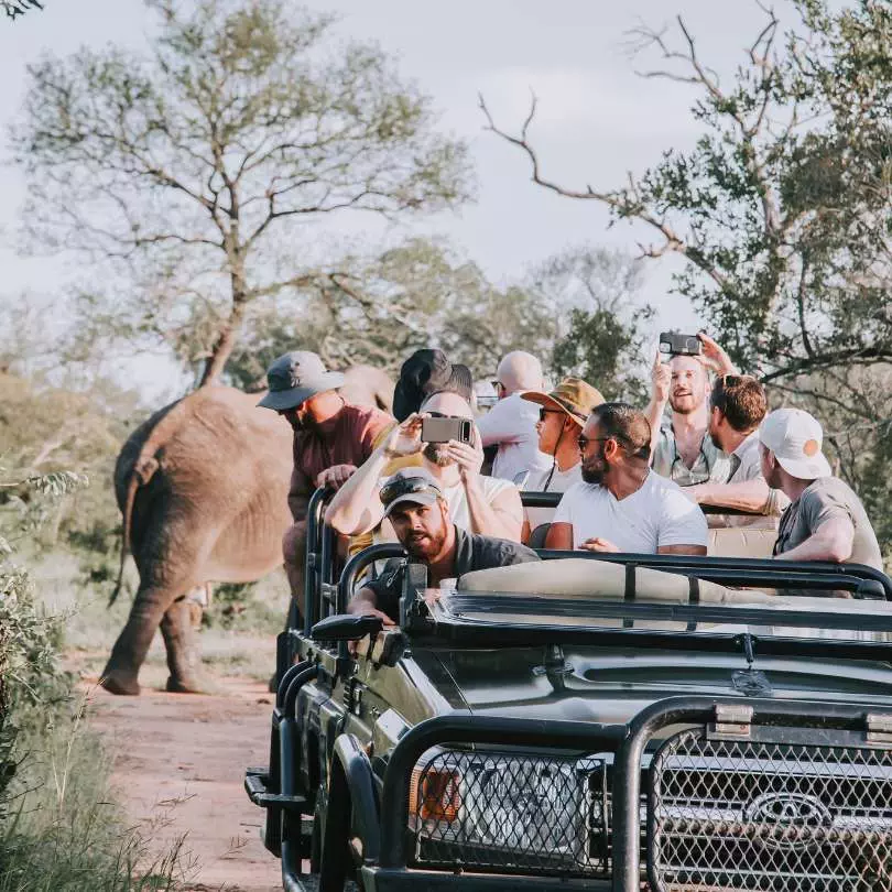 On safari with Nanan Travel