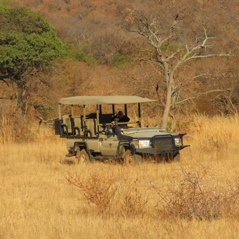On safari with Nanan Travel