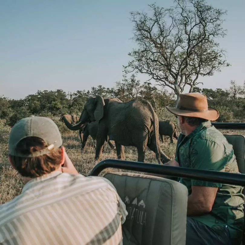 On safari with Nanan Travel