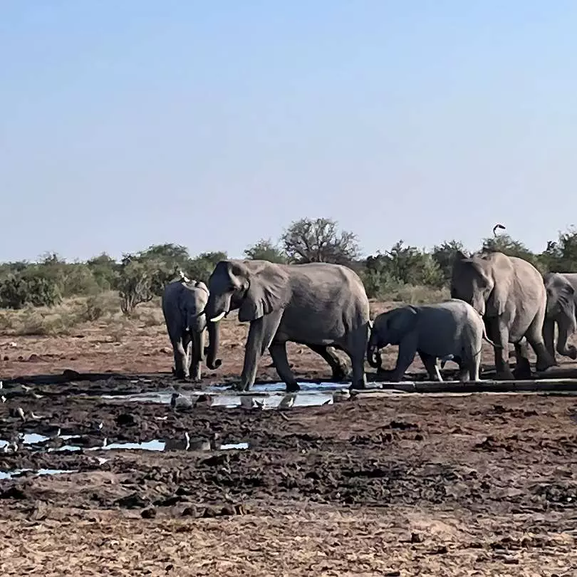 Etosha National Park (Namibia) + Sossusvlei (Namibia) + Skeleton Coast (Namibia)