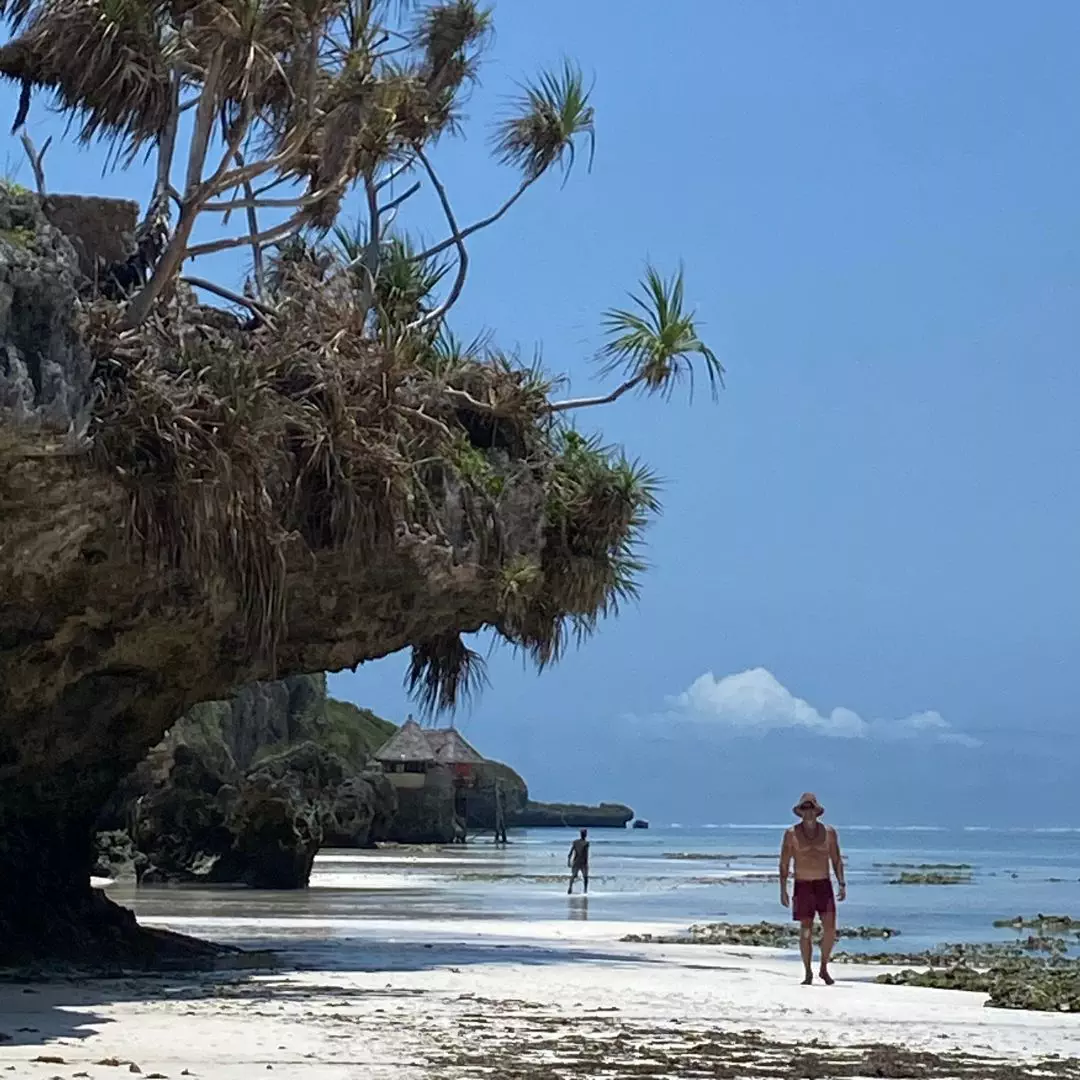 Serengeti (Tanzania) + Zanzibar (Tanzania) (3)