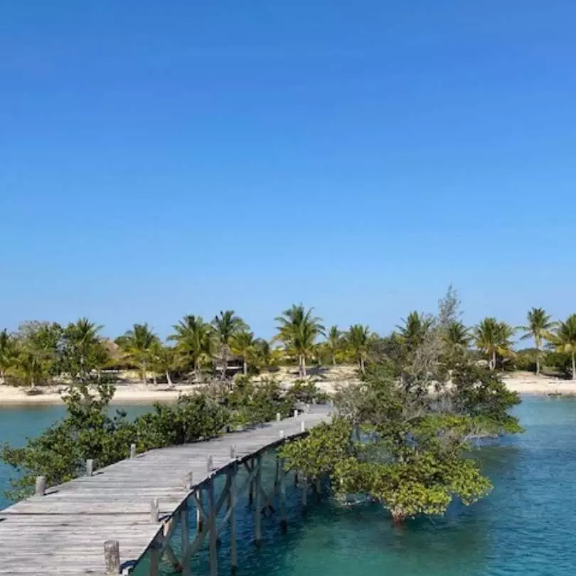 Kruger National Park (South Africa) + Phinda Private Game Reserve (South Africa) + Benguerra Island or Sussurro (Mozambique)