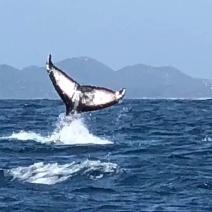 HERMANUS (2)