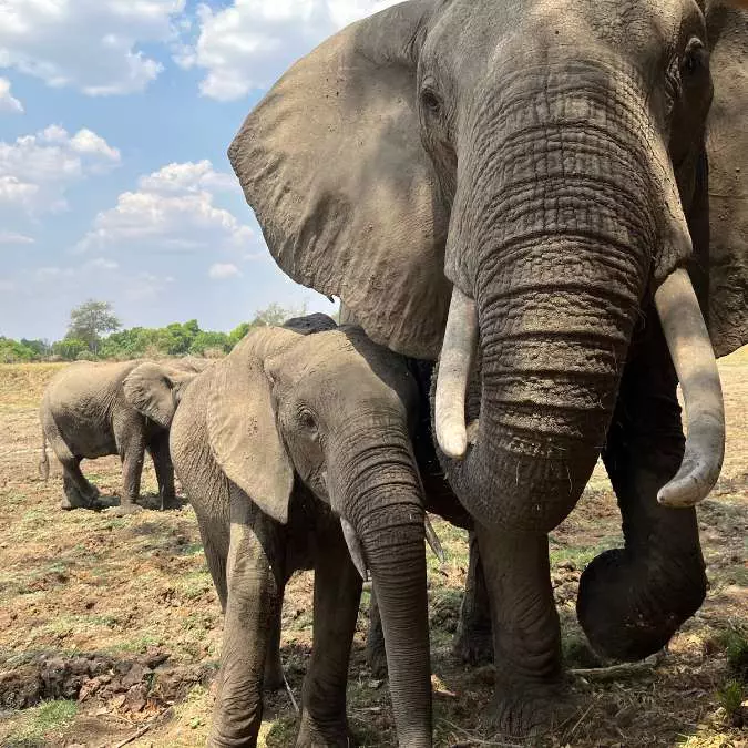 AFRICA WITH NANAN TRAVEL - Zambia