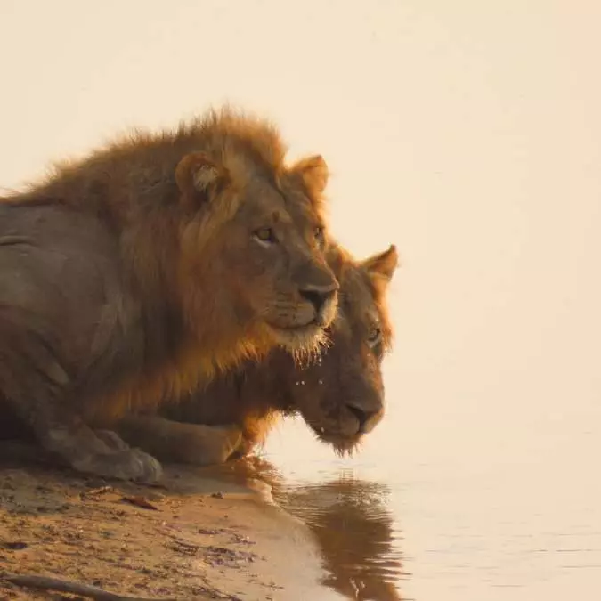 AFRICA WITH NANAN TRAVEL - Zambia (2)
