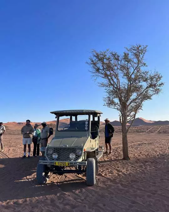 The Role of Travel Agents in Planning African Safaris (7) Nanan Travel - Balancing Luxury & Wilderness in African Safaris _ Ultimate Guide-luxury accommodation