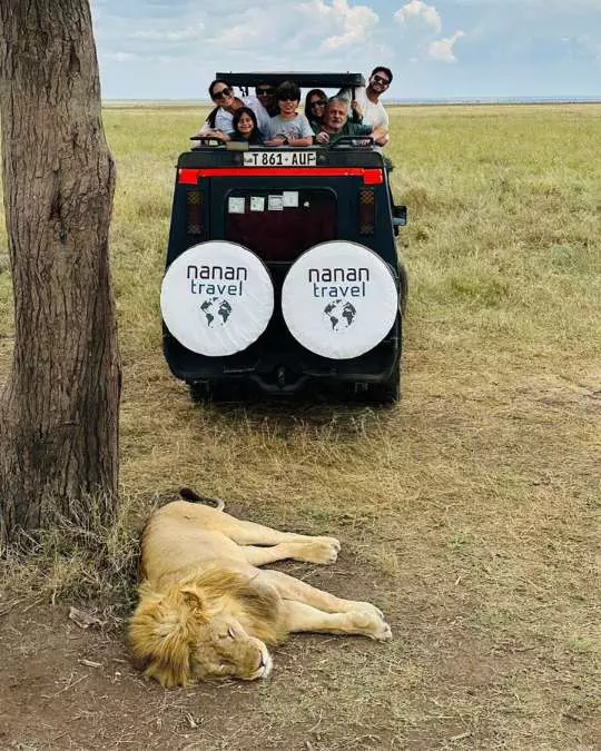 The Role of Travel Agents in Planning African Safaris (8) Nanan Travel - Balancing Luxury & Wilderness in African Safaris _ Ultimate Guide-viewing hippopotomus from lodge deck