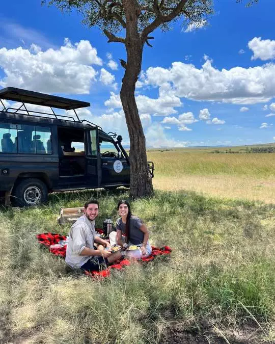 The Role of Travel Agents in Planning African Safaris Nanan Travel - Balancing Luxury & Wilderness in African Safaris _ Ultimate Guide - Lioness and cubs<br />