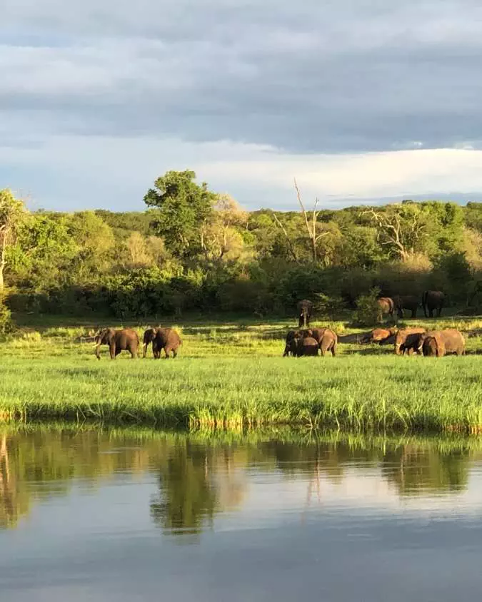 Nanan Travel - Family Luxury Safaris_ 5 Dream Destinations for All Ages - Zambia (2) Nanan Travel - Balancing Luxury & Wilderness in African Safaris _ Ultimate Guide-viewing hippopotomus from lodge deck