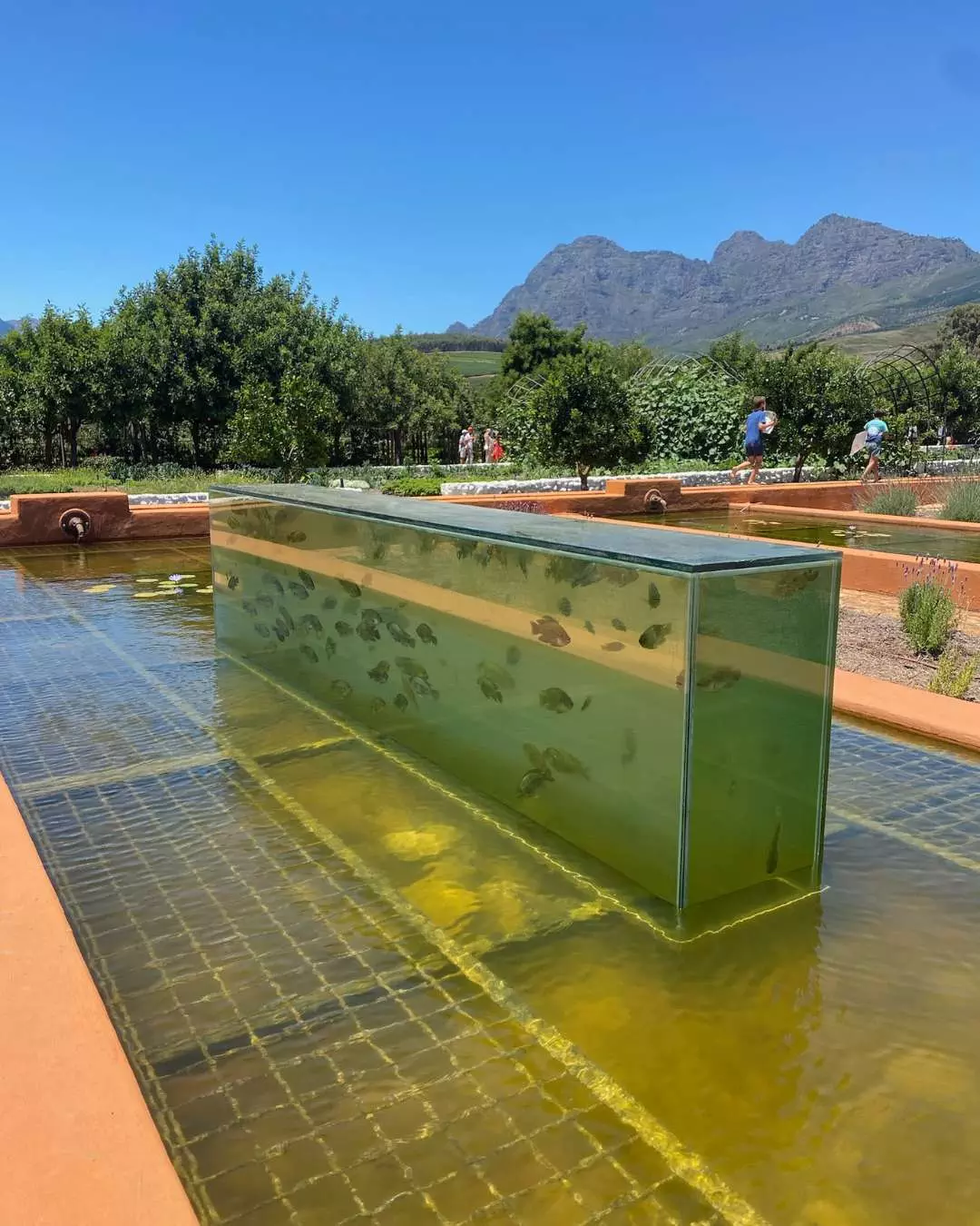 Nanan Travel - Vintage South Africa_ Five Wine Experiences Reserved for the Cultured Palate (13) Nanan Travel - Balancing Luxury & Wilderness in African Safaris _ Ultimate Guide-Balloon Safari