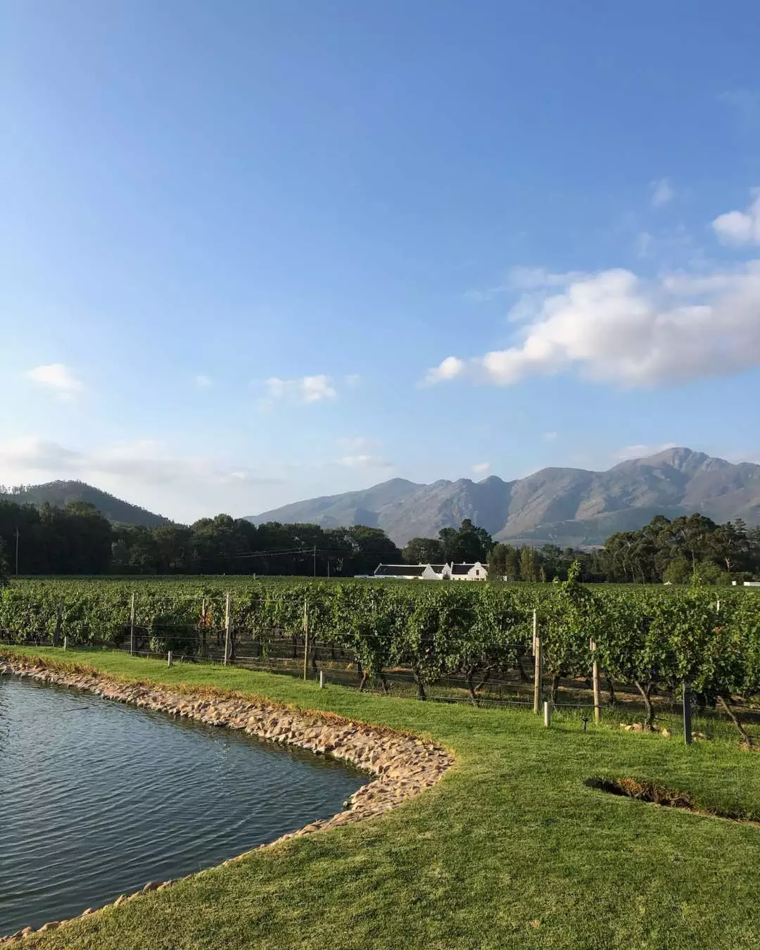 Nanan Travel - Vintage South Africa_ Five Wine Experiences Reserved for the Cultured Palate (6) Nanan Travel - Balancing Luxury & Wilderness in African Safaris _ Ultimate Guide-safari break German drinking coffee
