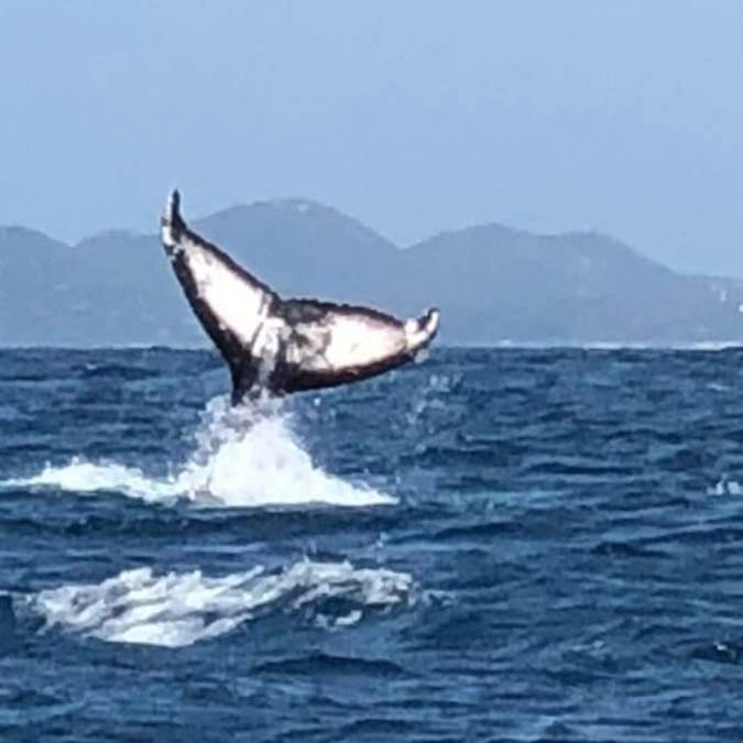 HERMANUS (2)